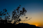 IMG_6485_1