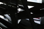 IMG_8941