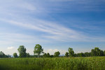 IMG_1571