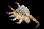 IMG_8719