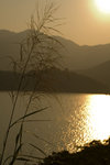 IMG_5915
