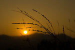 IMG_5949_1