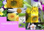 FlowerExpo04-00