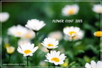 FlowerExpo-08