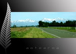 NZ Photo004_resize