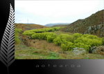 NZ Photo028_resize