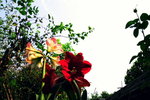 IMG_9450