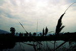 IMG_9542