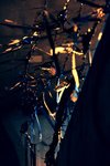 IMG_9288