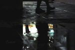 Mischbluts - IMG_1166