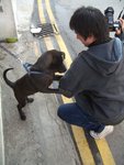 other 018