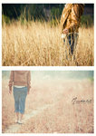 CARMEN 3