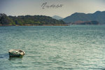 IMG_8746