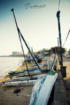 IMG_8825-1