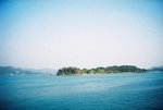 CNV000010
