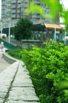 Canon75-300mm2ndTest_001