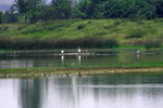 Canon75-300mm2ndTest_004