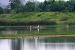 Canon75-300mm2ndTest_005