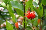 Canon75-300mm2ndTest_013