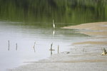 HKWetLand_June07_022