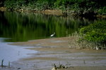 HKWetLand_June07_026