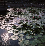 Scan10004S