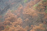 DSC_5550