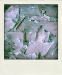 DSC_4138-pola