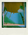 DSC_4153-pola