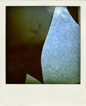 DSC_4179-pola