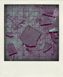 DSC_4382-pola