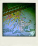 DSC_4171-pola