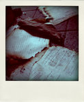 DSC_4272-pola