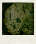 DSC_4296-pola