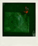 DSC_4437-pola