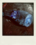 DSC_4444-pola
