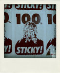 DSC_4475-pola