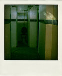 DSC_4186-pola