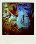 DSC_4446-pola