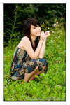 Ling_038