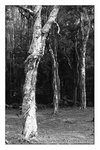 IMG_0174