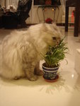 DSC00010