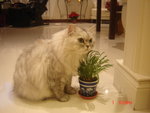 DSC00014
