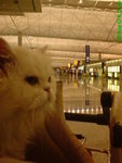 DSC00096