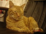 DSC00015