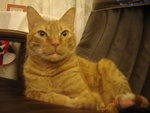 DSC00017