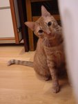 DSCF0070