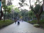 20061104654