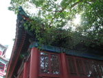 觀音廟
IMG_0131
