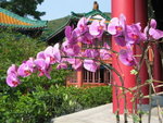觀音廟

IMG_0147